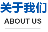 安康网络公司
