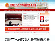 安康网络公司