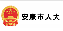  安康政府网站建设
