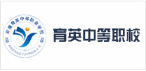 安康网站建设