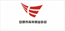  安康政府网站建设